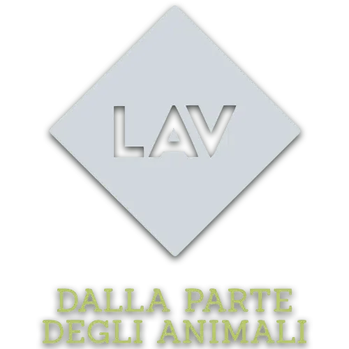 LAV - Cliente Ecologica