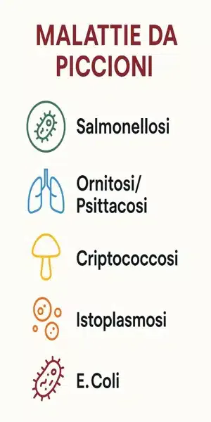 infografica malattie da piccioni