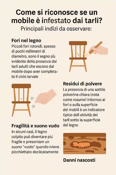 infografica su mobile infestato dai tarli