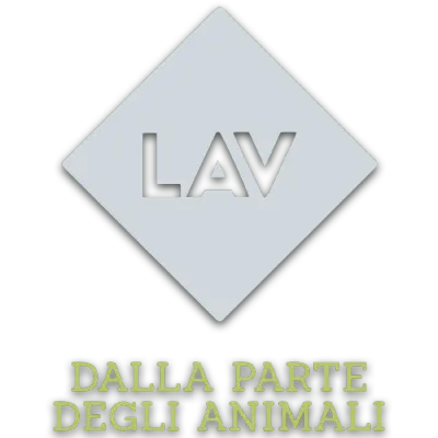 LAV - Cliente Ecologica