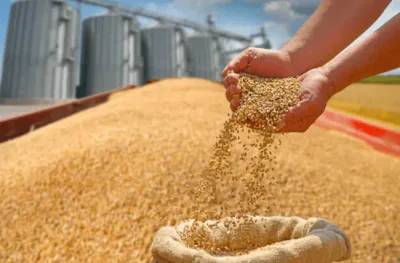disinfestazione aziende agricole