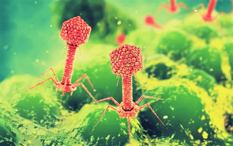 virus