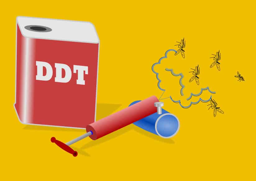 DDT