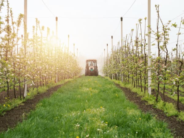 disinfestazione industrie agricole