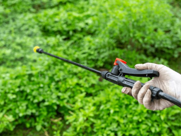 disinfestazione terreno agricolo