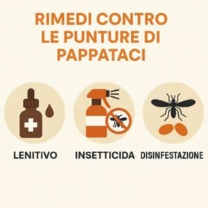 infografica rimedi pappataci
