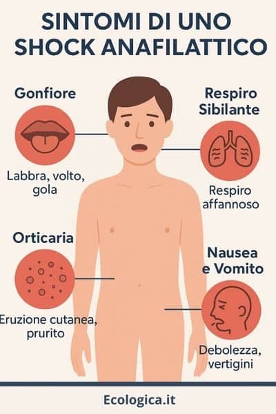 infografica sintomi shock anafilattico da puntura da vespa